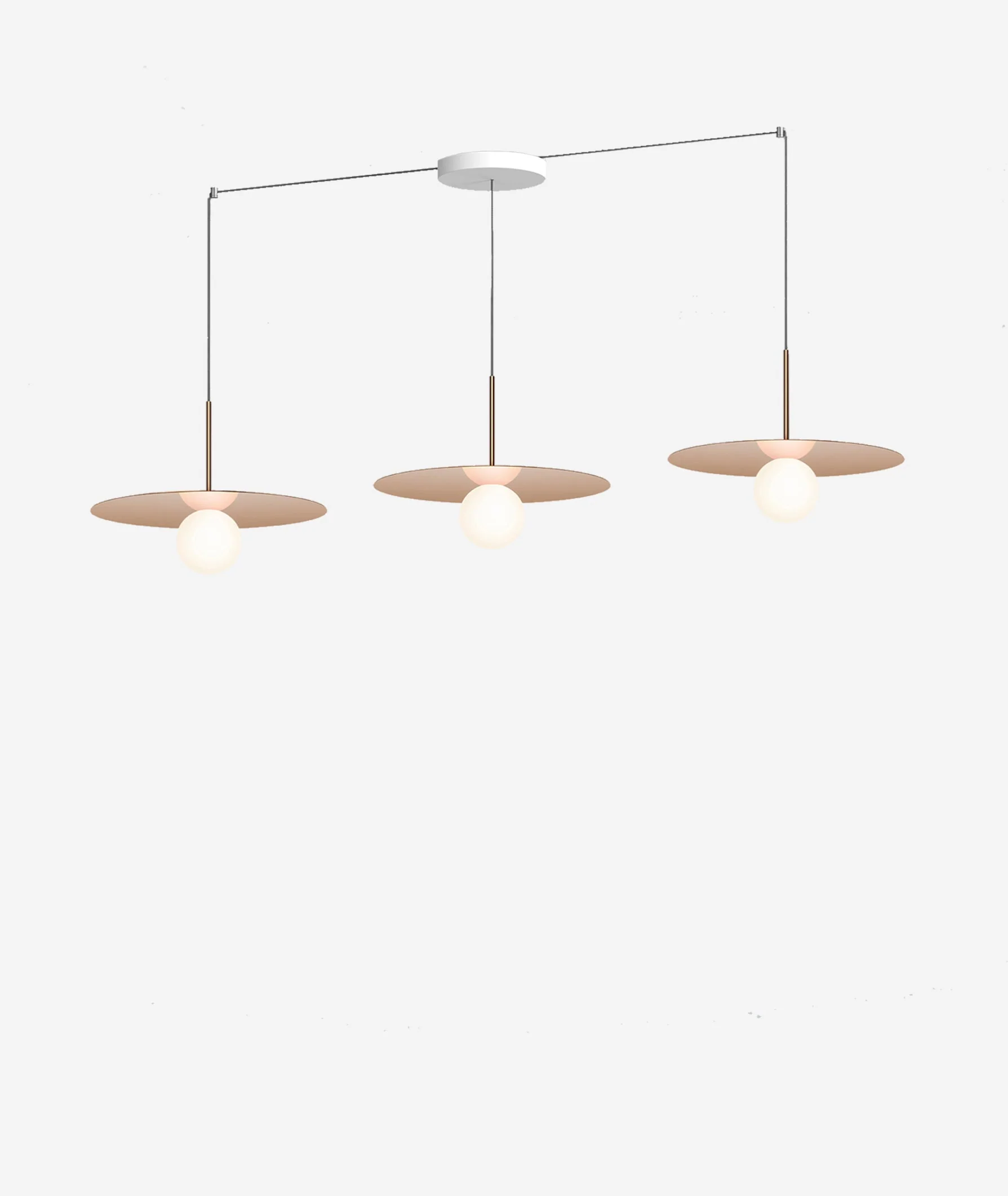 Black Friday 2024 Sale